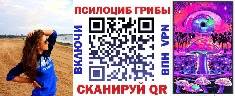 Псилоцибиновые грибы мицелий  Купить  Оленегорск 